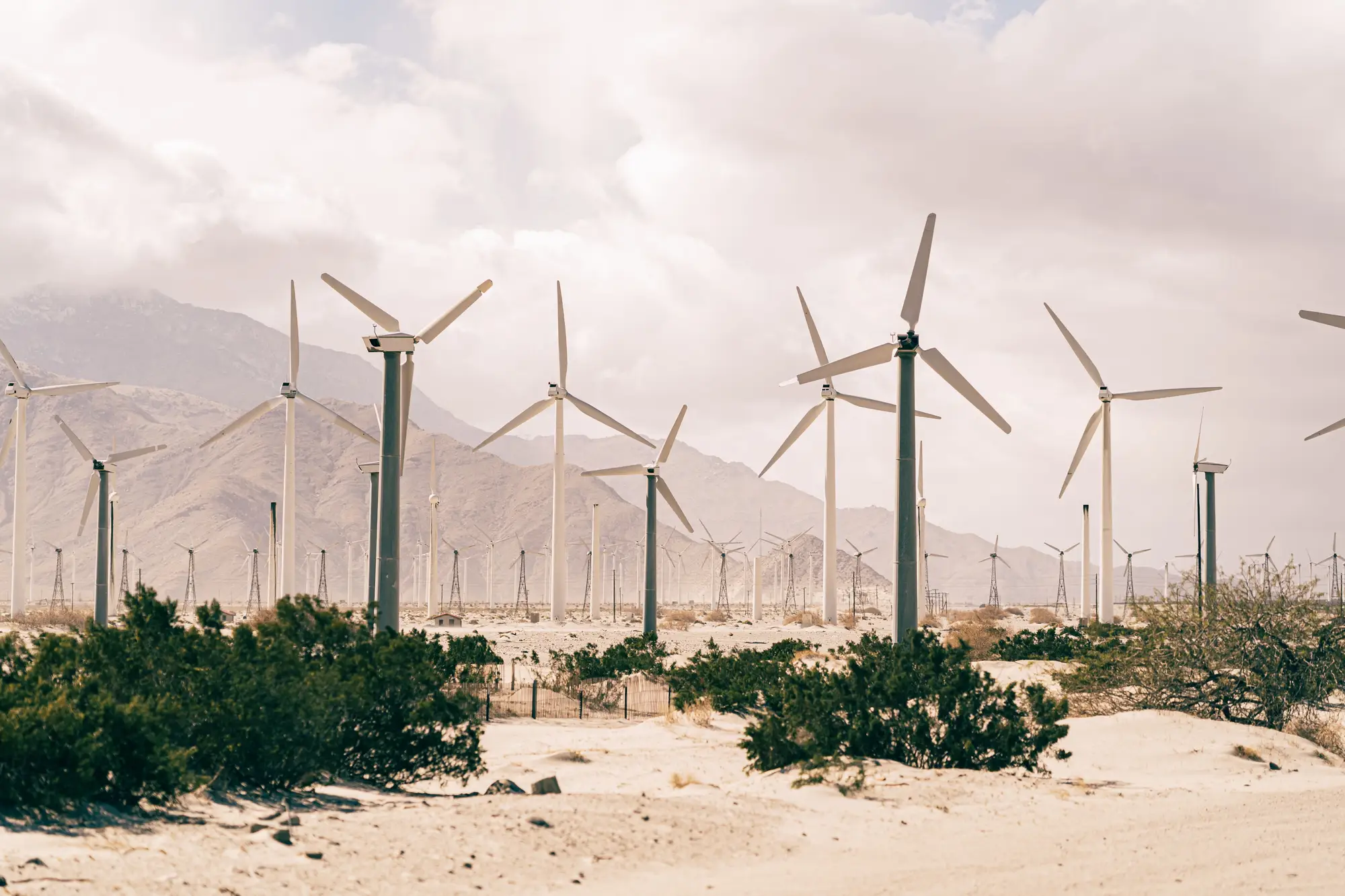 Rows of older wind turbines on a sandy desert pass, mountains behind and scrub in the foreground